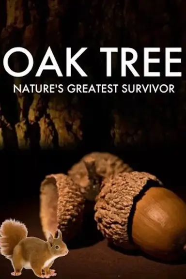 Oak Tree: Nature's Greatest Survivor poster