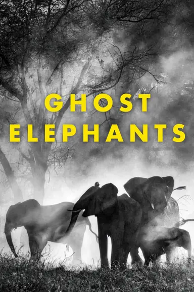 Ghost Elephants poster