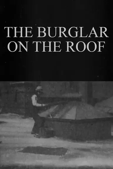 The Burglar on the Roof poster