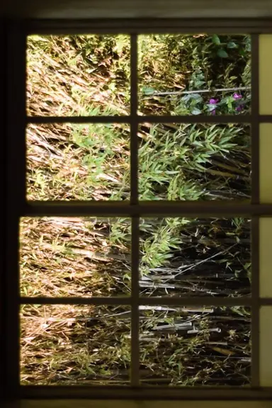 I Imagine a Text that Changes poster