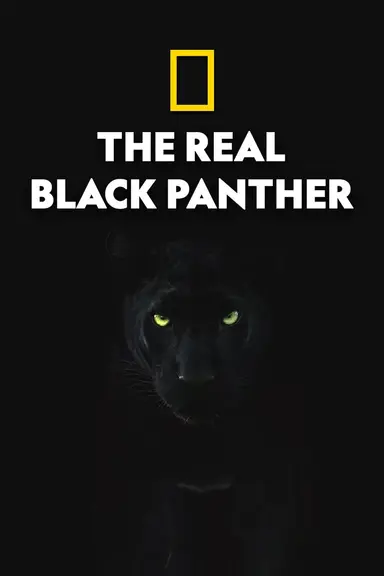 The Real Black Panther poster