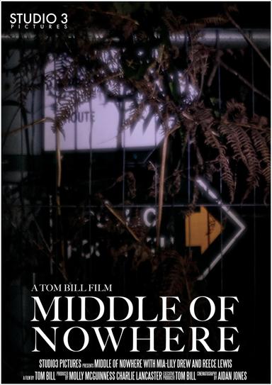 Middle of Nowhere poster
