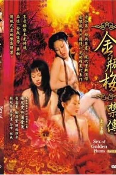 金瓶梅禁传 上卷 poster