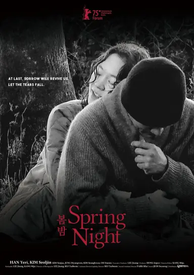 Spring Night poster