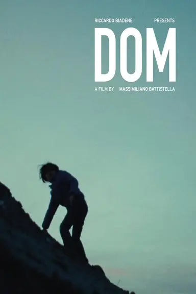 Dom poster