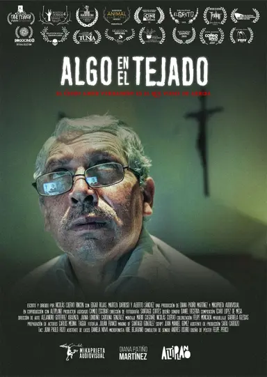 Something on the roof poster