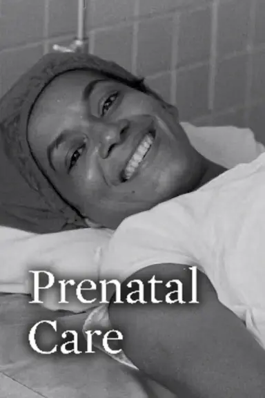 Prenatal Care poster