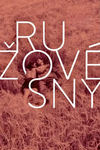 Rose Tinted Dreams poster