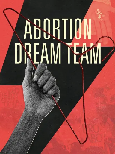 Abortion Dream Team poster