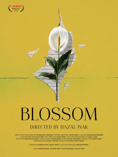 Blossom poster