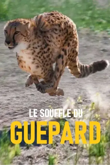 Le souffle du guépard poster