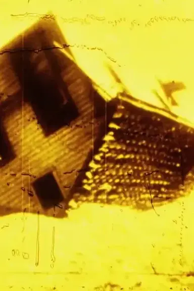 Going Back Home poster