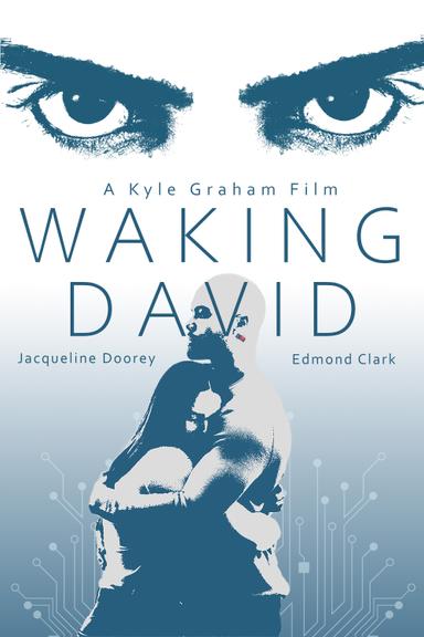 Waking David poster