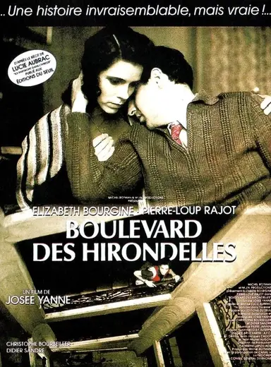 Boulevard des hirondelles poster